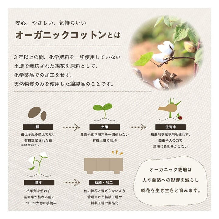 クララ フリーシート BE 43X118 43×118cm 日用品 ベージュ ブルー クッション