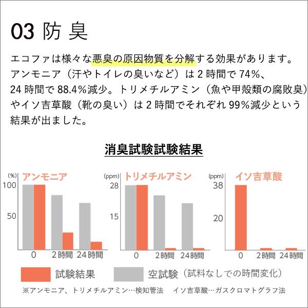 エコファ ウィルス細菌シックハウス対策スプレー 300mlタイプ ウィルス細菌有害物質の除菌&分解 ECOFUR-V300