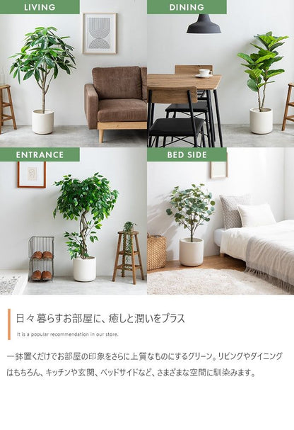 フェイクグリーン・オブジェ 高さ130cm Nature 光触媒人工観葉植物
