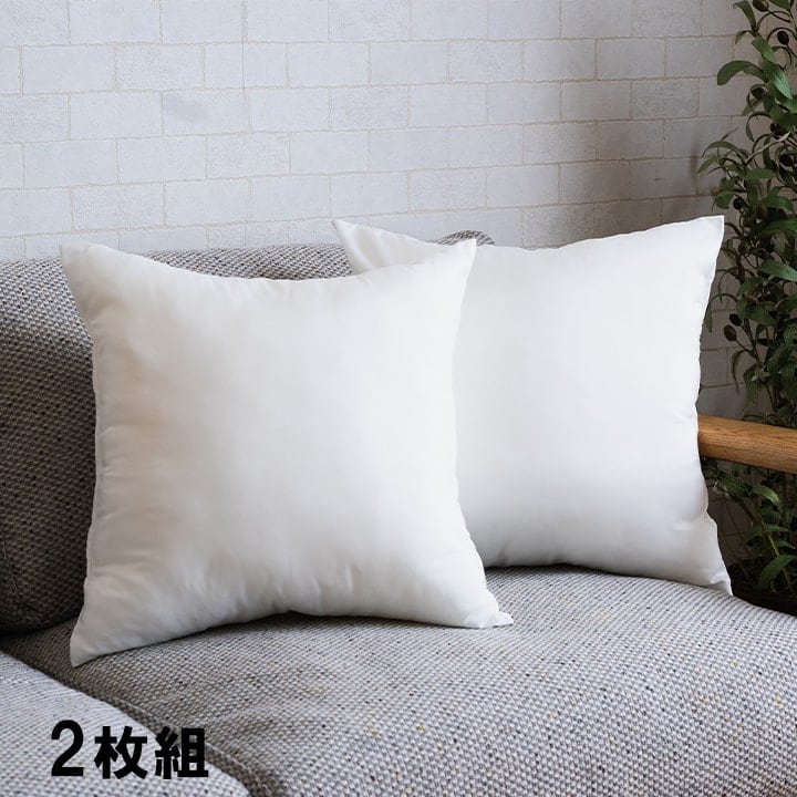 クッション ヌード 2P セアテ IV 45X45 45×45cm 日用品 日本製
