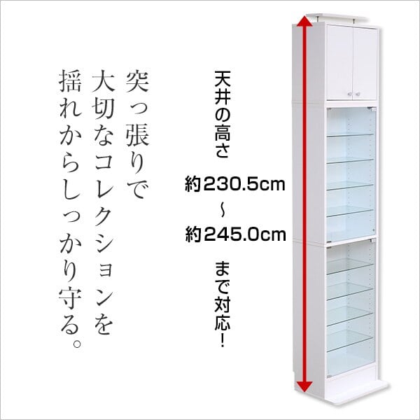 コレクションラック 深型ハイタイプ(専用上置き) ラック コレクション ボックス CD DVD