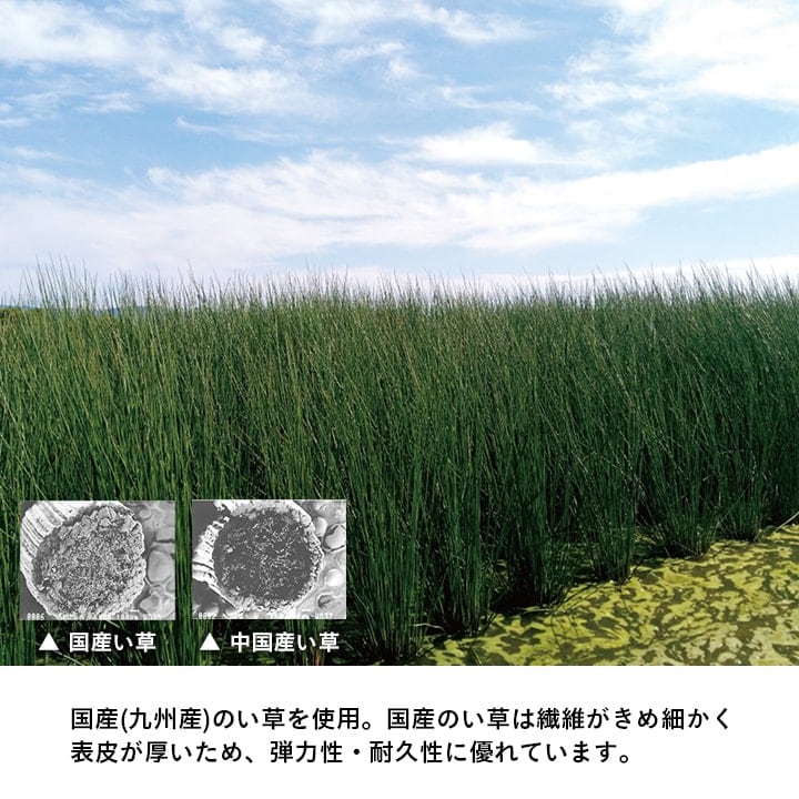 置き畳 滅ダニ 6P 半畳 82X82 82×82×1.8cm ラグマット カーペット ラグ 絨毯