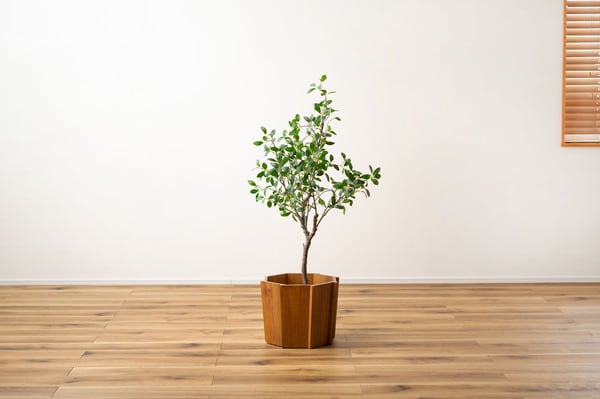 グリーン ウッドプランターS 幅38×奥行38×高さ30cm 完成品 ブラウン 天然木