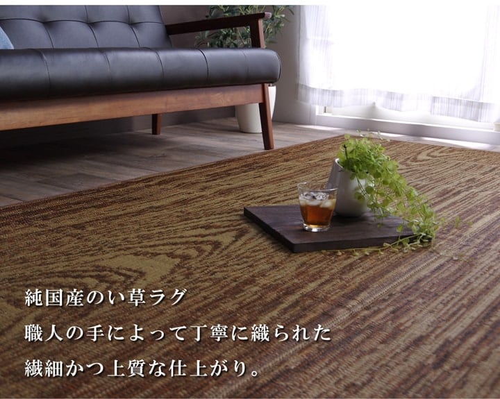 Fウォール ミニラグ 140X200 140×200cm ラグマット カーペット ラグ 絨毯 日本製