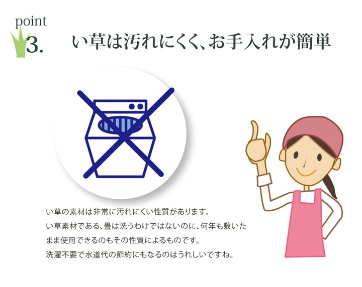 腰当 フォンターナ 大フィット BL 30X40 40×30cm 日用品 低反発 クッション 3.