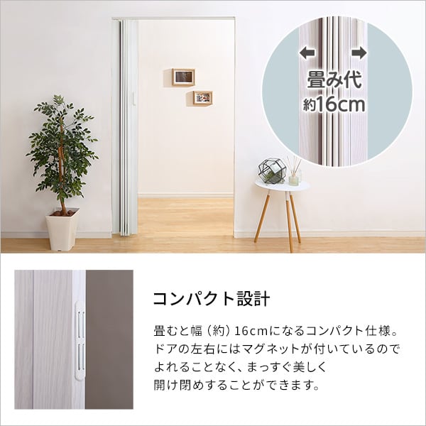 ラック 採光性バツグン!ガラス調のパネルドア -RAYLA(レイラ)- パネルドア 間仕切り 木目調
