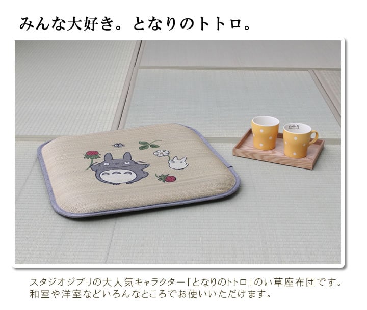 木いちごトトロ 2P 55×55cm 日本製 クッション・座布団