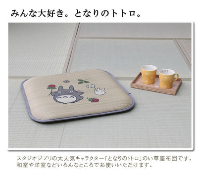 木いちごトトロ 2P 55×55cm 日本製 クッション・座布団