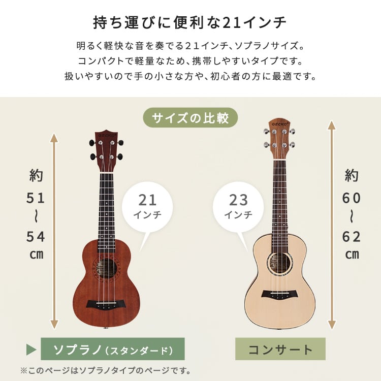 初心者でも始めやすい ウクレレ 12点セット 21インチ(ソプラノ) 初心者 セット ケース付き