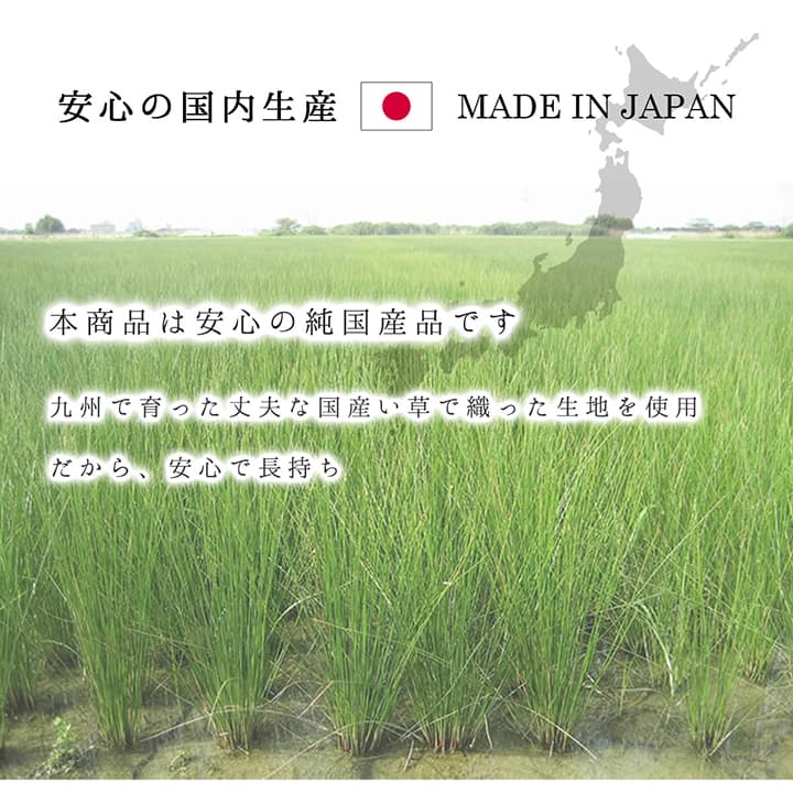 ラグ モーニング 普通版長方形 BE 191X250 191×250cm ラグマット カーペット