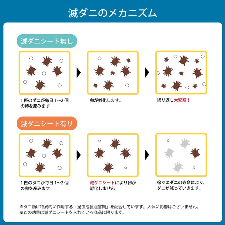 掛布団 滅ダニ セミダブル BE 170X210 170×210cm 日用品 寝具 毎日使うお布団