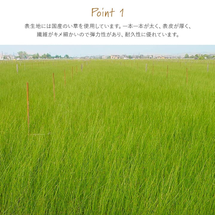 置き畳 ライズ 半畳 88X88 88×88cm ラグマット カーペット ラグ 絨毯 撥水 日本製