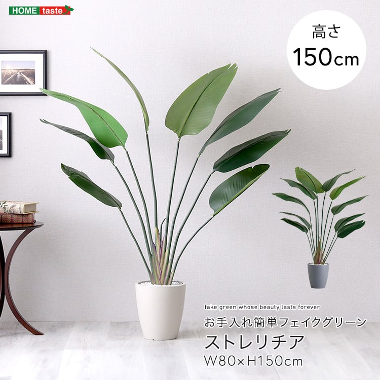 お手入れ簡単フェイクグリーン ストレリチア Mサイズ(150cm) フェイクグリーン 人工観葉植物