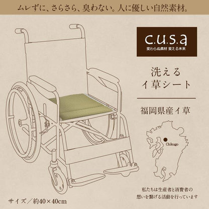 クッション 洗えるい草シート 40×40cm 通気性 クッション・座布団