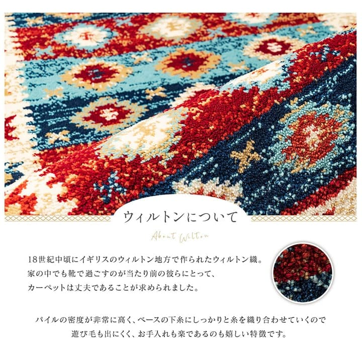 玄関マット プルメリ NV 70X120 70×120cm ラグマット カーペット ラグ 絨毯