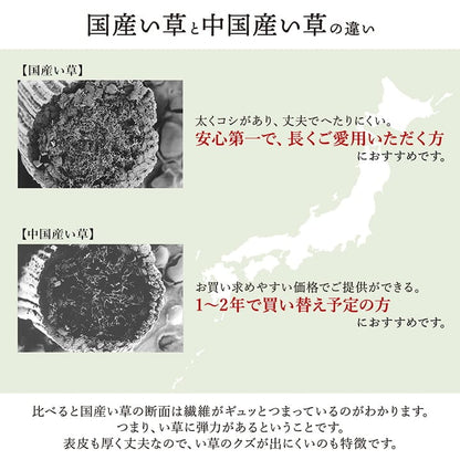 花ござ 大自然 江戸間4.5畳 ウミ 261X261 261×261cm ラグマット カーペット