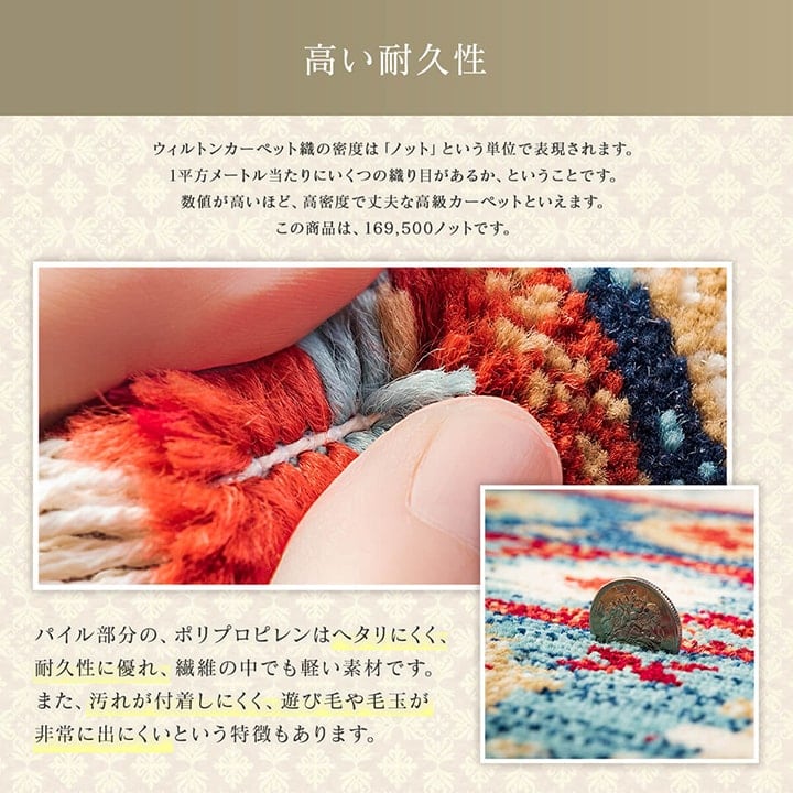 玄関マット プルメリ NV 50X80 50×80cm ラグマット カーペット ラグ 絨毯 マット