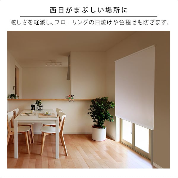 カーテン 壁空け不要!つっぱりロールスクリーン 幅180cm(遮光タイプ) スクリーン 間仕切り