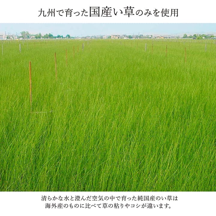 花ござ DX京刺子 江戸間3畳 BE 174X261 174×261cm ラグマット カーペット