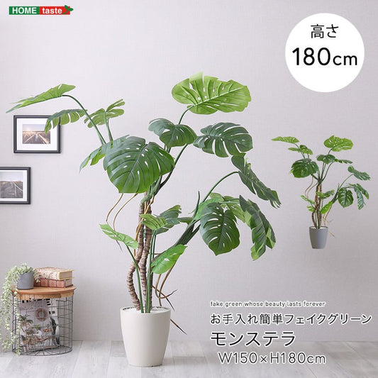 お手入れ簡単フェイクグリーン モンステラ Lサイズ(180cm) フェイクグリーン 人工観葉植物