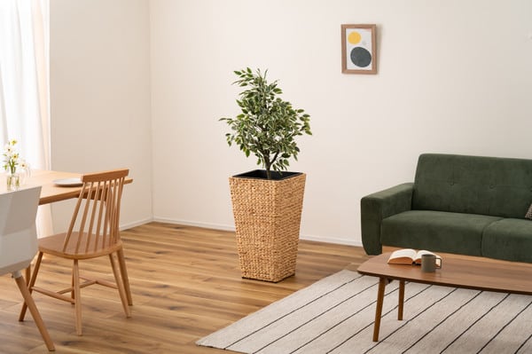 グリーン プランター角ハイタイプ 幅37×奥行37×高さ65.5cm 日用品 ハイタイプ 完成品