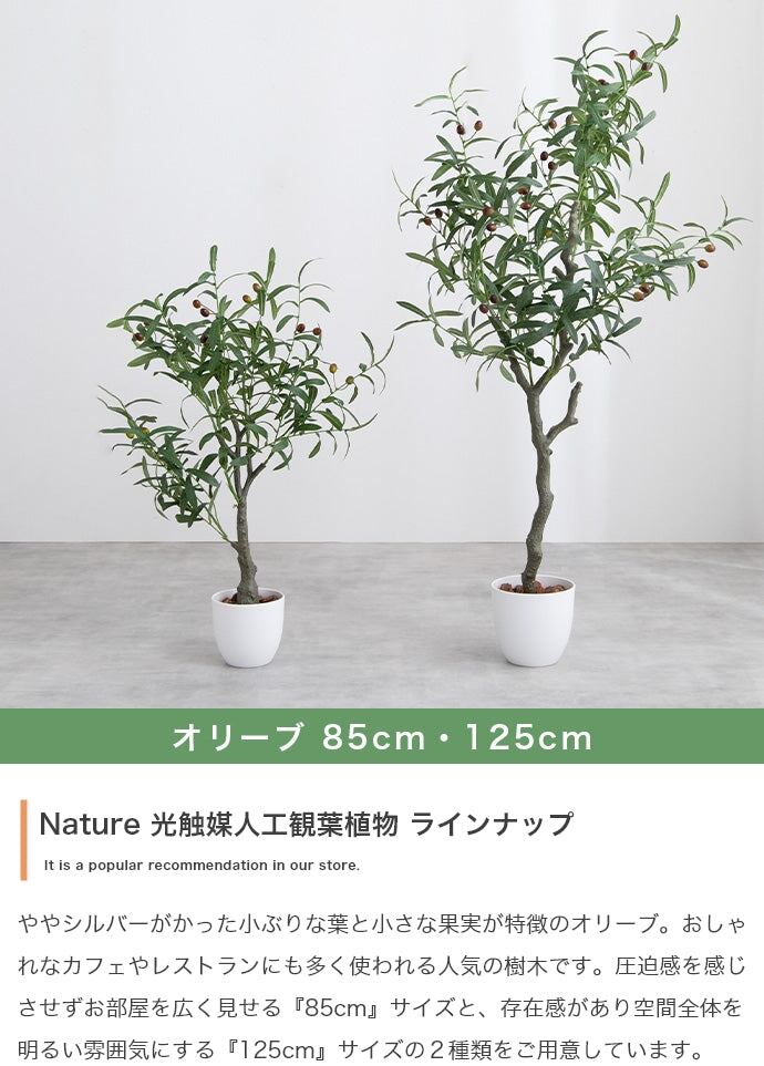 フェイクグリーン・オブジェ 高さ90cm Nature 光触媒人工観葉植物 パキラ