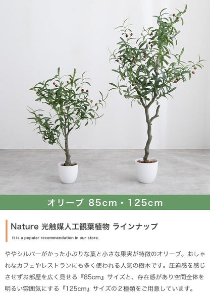 フェイクグリーン・オブジェ 高さ90cm Nature 光触媒人工観葉植物 パキラ