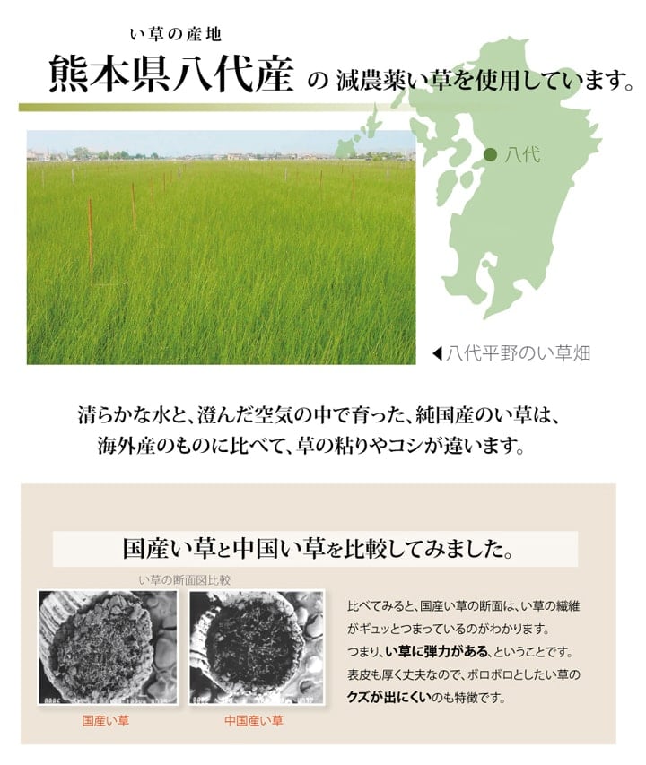 い草ラグ 西陣 ヒバ 団地間3畳 170X255 170×255cm ラグマット カーペット ラグ