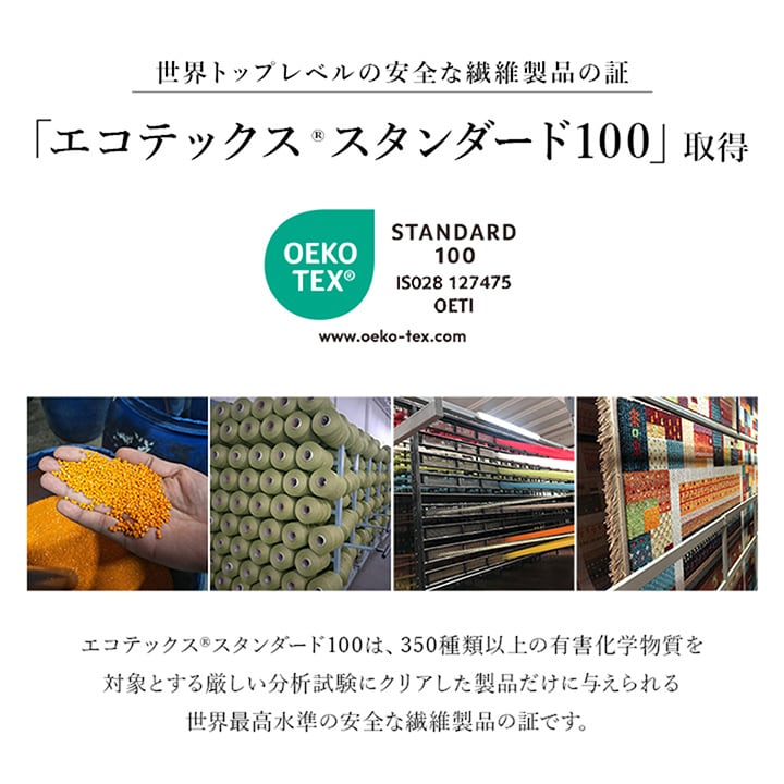 玄関マット アルスラーンNV NV 60X95 60×95cm ラグマット カーペット ラグ 絨毯