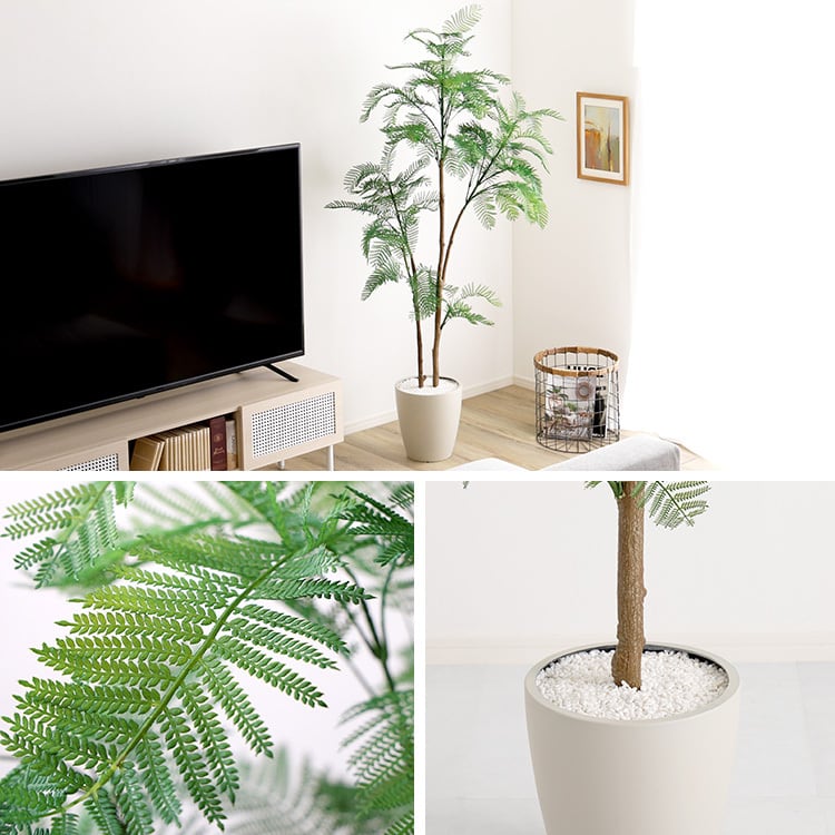 お手入れ簡単フェイクグリーン エバーフレッシュ Lサイズ(180cm) フェイクグリーン 観葉植物