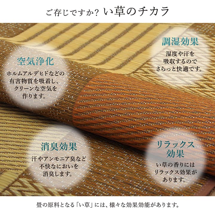 花ござ 京刺子 本間3畳 BE 191X286 191×286cm ラグマット カーペット ラグ