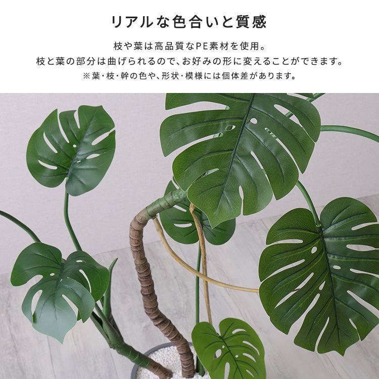 お手入れ簡単フェイクグリーン モンステラ Sサイズ(120cm)