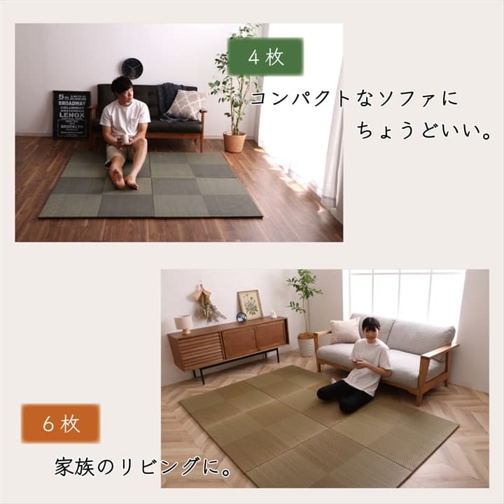 置き畳 シンプルノア 2P 半畳 BK 82X82 82×82×1.7cm ラグマット カーペット