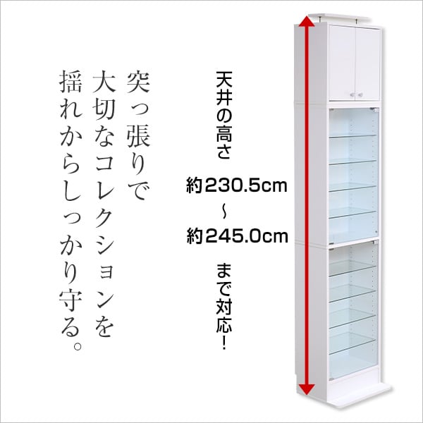 コレクションラック 深型ハイタイプ(専用上置き) ラック コレクション ボックス CD DVD