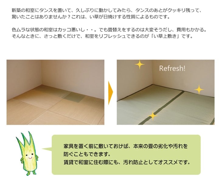 い草ラグ 草津 本間6畳 286X382 286×382cm ラグマット カーペット ラグ 絨毯