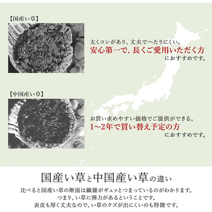 ラグ Fレヴィン 普通版長方形 BK 191X250 191×250cm ラグマット カーペット