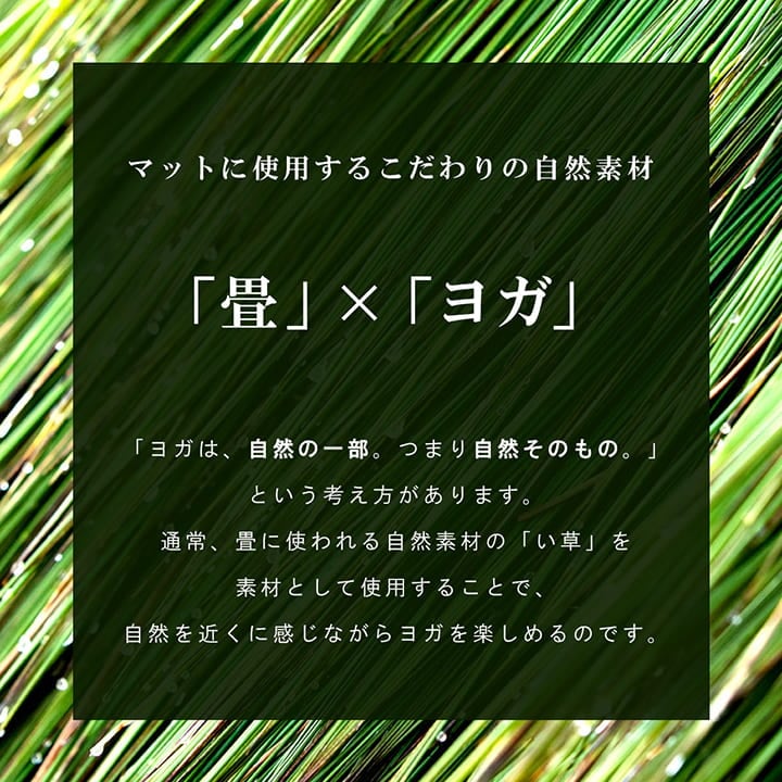 フラッフィー ヨガマット 66X185 66×185cm ラグマット カーペット ラグ 絨毯 日本製