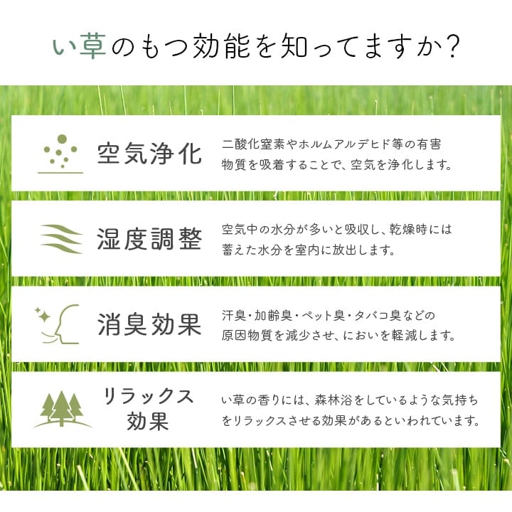 玄関マット Fピオス BE 70X120 70×120cm ラグマット カーペット ラグ 絨毯