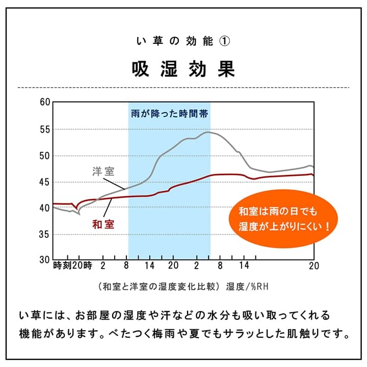 置き畳 ネイラル 半畳 70X70 70×70×3cm ラグマット カーペット ラグ 絨毯