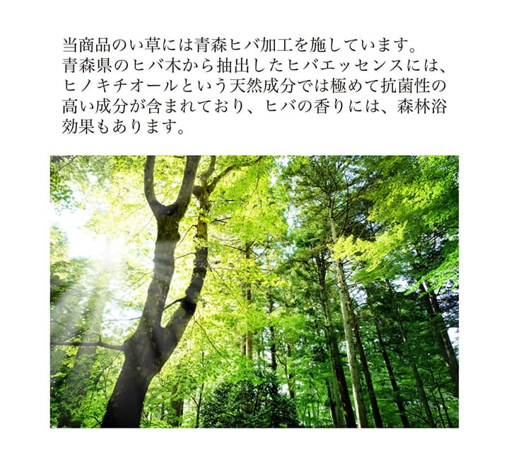 こたつ敷 DXピア堀炬燵 大判長方形 BE 191X300 191×300cm こたつセット