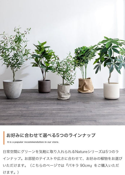フェイクグリーン・オブジェ 高さ90cm Nature 光触媒人工観葉植物 パキラ