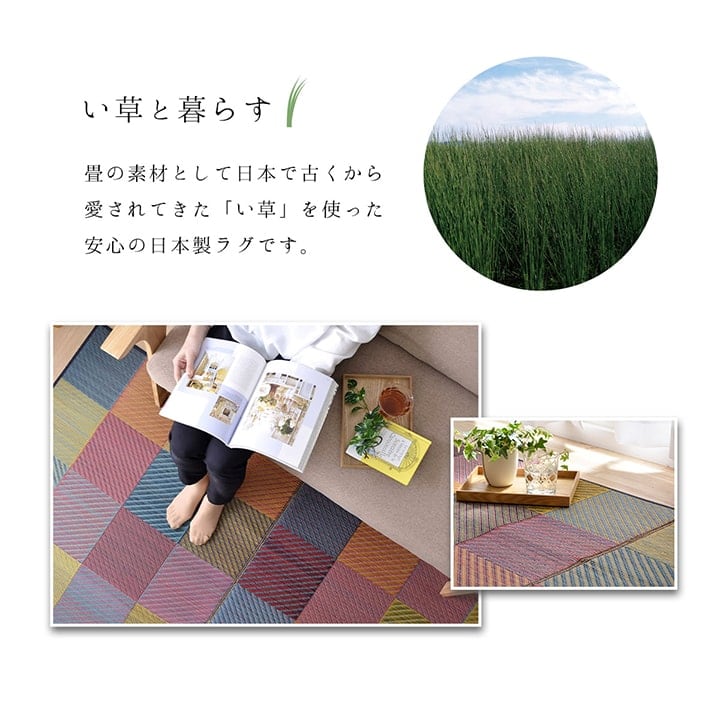 ラグ DXカラフルブロック 普通版長方形 BL 191X250 191×250cm ラグマット 絨毯