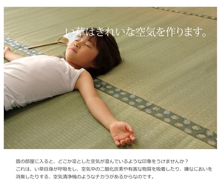 い草ラグ 松 六一3畳 185X277 185×277cm ラグマット カーペット ラグ 絨毯 3畳