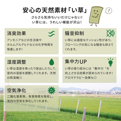 ラグ 江戸間 おもてなし い草カーペット 雅 みやび 1畳 87×174 ラグマット