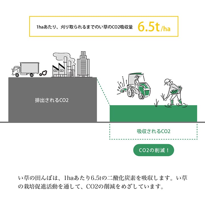 置物 い草リース 20×20 20 20Rcm ラグマット カーペット ラグ 絨毯 生活雑貨 育成