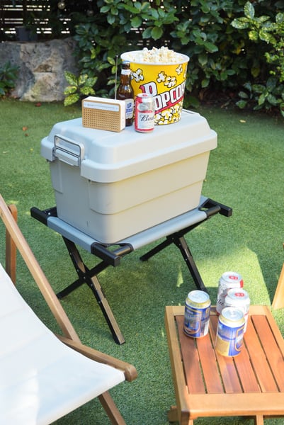 ストレージ トランクカーゴ 50L 幅60×奥行39×高さ37cm リビング収納 完成品 組立不要