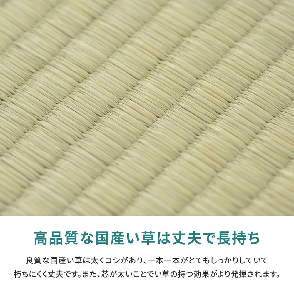 ラグ 江戸間 国産い草カーペット 天草 1帖 87×174 ラグマット 絨毯 消臭