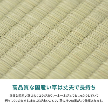ラグ 江戸間 国産い草カーペット 天草 1帖 87×174 ラグマット 絨毯 消臭