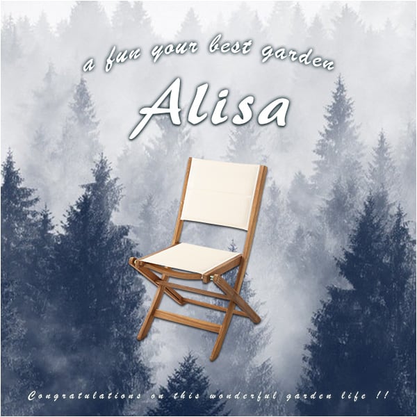 人気の折りたたみガーデンチェア(2脚セット)アカシア材を使用 Alisa-アリーザ- インテリア