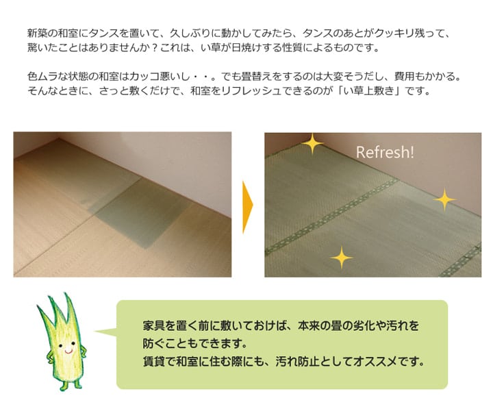 い草ラグ F不知火 ヒバ 三六4.5畳 273X273 273×273cm ラグマット カーペット